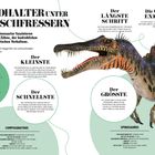 Rekordhalter unter den Fleischfressern: Beschreibungen von Dinosauriern zu Intelligenz, Schnelligkeit und Größe. Illustrationen enthalten.