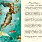 Mami Wata, die afrikanische Meerjungfrau. Positiv: Bewusstsein, Spiritualität, Veränderung. Negativ: Eitelkeit, Zweideutigkeit, Gier.