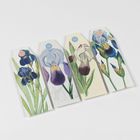 Vier botanische Illustrationen von Irisblüten auf Etiketten mit runden farbigen Löchern oben.