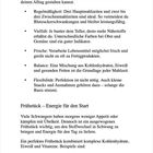 Text mit Grundprinzipien: Regelmäßigkeit, Vielfalt, Frische, Balance, Flexibilität. Abschnitt über Frühstück und Energie.
