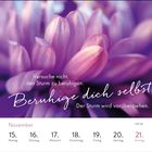 Text: "Versuche nicht, den Sturm zu beruhigen. Beruhige dich selbst. Der Sturm wird vorüberziehen."

Kalender: November, KW 46. 15. Montag bis 21. Sonntag.

Hintergrund: Nahaufnahme einer violetten Blume.