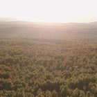 Keine erkennbaren Texte. Weite Waldlandschaft unter hellem Sonnenuntergang, Berge am Horizont.
