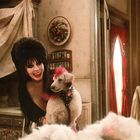 Eine Frau mit starkem Make-up lächelt neben einem Pudel in einem gemütlichen Raum mit roten Vorhängen.