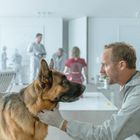 Ein Mann in Schutzkleidung kniet vor einem Schäferhund in einem modernen, hellen Raum. Weitere Personen im Hintergrund.