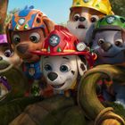 Sechs bunte Hunde mit Helmen und ein Junge lächeln in einer Waldlandschaft. Sie tragen Abzeichen und Ausrüstungen.