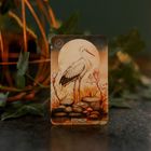 Karte mit "17" in einem Siegel und dem Wort "Storch". Ein Storch steht auf Felsen, Mond im Hintergrund, Pflanzen rundherum.
