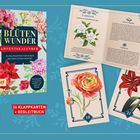 "Blüten Wunder Adventskalender" in goldener Schrift. Bunte Blumenillustrationen, EMF-Logo, 24 Klappkarten und Begleitbuch.