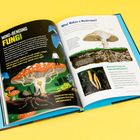 Texte "Mind-Bending Fungi", "What Makes a Mushroom?", "What kind of fungus has mind-controlling power?". Illustration von Pilzen.