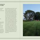 „WHAT’S PROBLEMATIC WITH THIS PICTURE?“ und „How much lawn do we need? Why?“ Links: Text über aufwändige Rasenpflege. Rechts: Rasen mit Bäumen.
