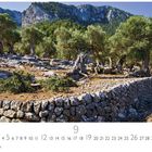 "Olivenhain", "CASARES EDITION", Monatsübersicht September. Olivenbäume stehen hinter einer Steinmauer vor Bergen.