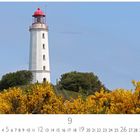 Hiddensee, Leuchtturm. Ein weißer Leuchtturm mit rotem Dach, umgeben von gelben Blumen und grünem Buschwerk.