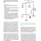 Mehrere Absätze erklären die Wichtigkeit des Hormon-Gleichgewichts: Melatonin, DHEA, Insulin, Pregnenolon und ein Diagramm zeigt Verbindungen.