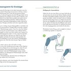 Ganzkörperprogramm für Einsteiger und Liegestützvariante Push-up. Zwei Illustrationen zeigen Übungspositionen an einem Stuhl.