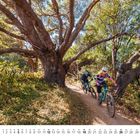 Kalendertext unten: September. Zwei Radfahrer auf einem Waldpfad unter großen, verzweigten Bäumen bei sonnigem Wetter.