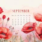 Kalender für September: Tage und Daten angezeigt. Rote Mohnblumenillustration im Hintergrund mit zarten Farbverläufen.