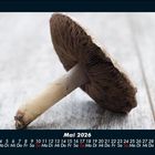 Cover/Product zoom