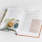 "Die Vorgeschichte der Vorgeschichte" ist der Haupttext. Links ist eine Illustration von drei antiken Figuren.