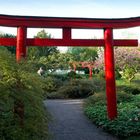 Ein rotes Torii-Tor steht in einem grünen, blühenden Garten mit rosa blühenden Bäumen und einem gewundenen Kiesweg.