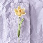 Eine gestrickte gelbe Narzisse vor zerknittertem, violettem Papier.