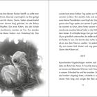 Text über eine Familie mit Küken, die schlüpfen. Links unten eine Illustration eines jungen Kükens im Nest.