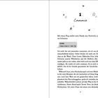 Zweiseitige Buchseite mit fortlaufendem Text. Kapitelnummer 12 und 13. Text beschreibt Dialoge und Gedanken der Charaktere.