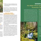 Links: „Förster*innen müssen die gepflanzten Bäumchen gut schützen...“, „BÄUME WERDEN GROSS...“

Rechts: Überschrift „EXKURS: Wie Wälder Wasser speichern und vor Hochwasser schützen“, gefolgt von Text über Wasserspeicherung und Bodenarten.

Fotografie: Bach fließt durch einen bewaldeten Bereich.