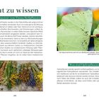 „Gut zu wissen: Ein Kommentar zum Thema Heilpflanzen.“  
„Was sind Opferpflanzen?“  
Bilder: Kapuzinerkresse mit Blattläusen, Sträuße mit getrockneten Kräutern.