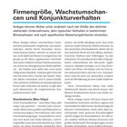 Firmengröße, Wachstumschancen und Konjunkturverhalten. Anleger können Aktien nach Größe, Verhalten in Börsenphasen und Bewertungskriterien einstufen.