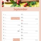 September-Kalenderseite mit Hagebutten und Marmelade. Tipp: Früchte bis Mitte September ernten.