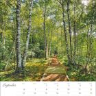 September-Kalender mit Wochentagen. Birkenwälder, Holzweg inmitten von Bäumen und sonnendurchflutete Blätter.