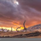 09 | September. Lemuren mit gestreiften Schwänzen vor einem dramatischen Sonnenuntergangshimmel.