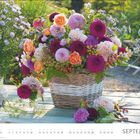 Text: SEPTEMBER. Ein großer, bunter Blumenkorb mit Dahlien auf einem Holztisch im Freien, umgeben von Glas und einem Stuhl.