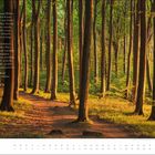 Gedicht über Wälder von Friedrich Hebbel, daneben ein lichtdurchfluteter Waldweg zwischen hohen Bäumen.