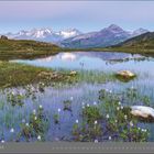 09 | SEPTEMBER. Berglandschaft mit See im Vordergrund, umgeben von grüner Vegetation und schneebedeckten Gipfeln im Hintergrund.