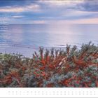 Gedicht mit Meeresmotiv; im Vordergrund leuchtend orangefarbene Beeren, sanfte Wellen im Hintergrund.