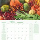 Kalendermonat September mit Rezept für Kürbis-Tofu-Lasagne. Illustration von Kürbissen und Bohnen umgeben von Herbstfrüchten.