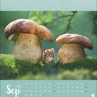 Kalenderblatt für September mit großen Pilzen im Moos und einer Maus dazwischen.