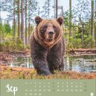 "Sep" steht in geschwungener Schrift. Septemberkalender mit Wochentagen. Ein Bär steht vor einem Wald und einem kleinen See.