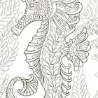 Detaillierte Illustration eines kunstvoll verzierten Seepferdchens, umgeben von Blattwerk und weiteren Meerestieren.