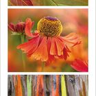 Kalendermonat September 2027. Bunte Herbstblätter, leuchtende Blume, farbige Baumrinde.