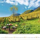 9 2023. Weinberg-Landschaft mit Tischen, Bänken und einem Baum. Hügel im Hintergrund unter blauem Himmel.