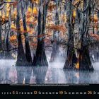 Kalenderseite für September 2023. Zypressen in nebligem Wasser, herbstlich gefärbte Blätter in Orange- und Gelbtönen.