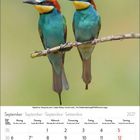 Text: September · 2027. Zwei Bienenfresser auf einem Ast. Ein Kalender zeigt den Monat September mit Wochen- und Tagesnummern.