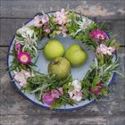 Keine sichtbaren Texte. Drei grüne Äpfel liegen in einem blauen Teller, der von einem Blütenkranz aus bunten Blumen umgeben ist.