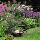 Ein Garten voller bunter Blumen und einem Metallstuhl. Vor dem Stuhl steht ein Korb mit verschiedenen Blüten.