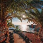 Kein Text erkennbar. Ein schmaler Weg führt durch Palmen zu einer Küste, das Meer glitzert in der untergehenden Sonne.