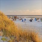 Ein Strand mit Sand, grasbewachsenen Dünen links und vielen bunten Strandkörben im Hintergrund.