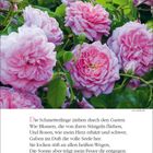 Text: "Juli", "20", "27", "28. Woche", Gedicht von Max Dauthendey über Blumen und Schmetterlinge, darunter Rosen. Bild: Rosa Rosen.