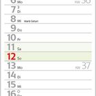 Kalender für September 2027. Bild zeigt eine junge Sibirische Katze, umgeben von grünen Blättern und Gras.