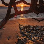 Kalenderansicht: September 2021. Sonnenuntergang hinter knorrigem Baum am Strand.